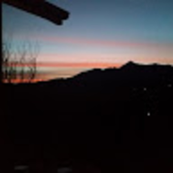 p_coddington